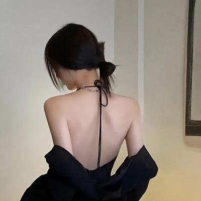 托梅斯的导盲犬